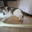U��me se s kost�